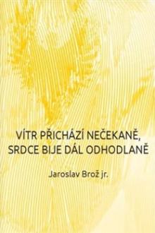  Vítr přichází nečekaně, srdce bije dál odhodlaně [CZ] - supershop.sk