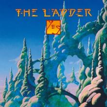 YES  - CD THE LADDER