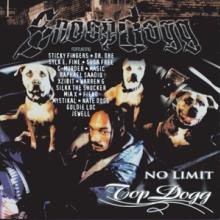  NO LIMIT TOP DOGG [VINYL] - suprshop.cz