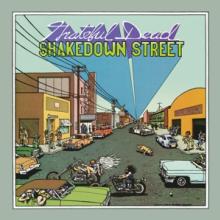  SHAKEDOWN STREET [VINYL] - supershop.sk