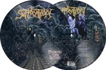  PIERCED FROM WITHIN [VINYL] - suprshop.cz