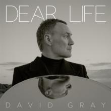 GRAY DAVID  - CD DEAR LIFE