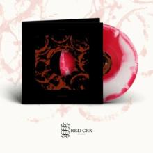  THE RAGING RIVER (A-SIDE / B-SIDE W/ WHI [VINYL] - suprshop.cz