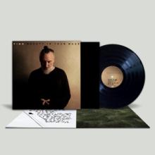  BEAUTY IN YOUR WAKE [VINYL] - suprshop.cz