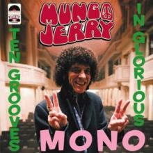 MUNGO JERRY  - VINYL TEN GROOVES IN..