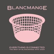 BLANCMANGE  - VINYL EVERYTHING IS ..