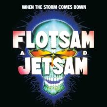  WHEN THE STORM COMES DOWN - supershop.sk