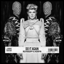  DO IT AGAIN [VINYL] - suprshop.cz