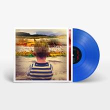 VILLAGERS  - VINYL AWAYLAND [VINYL]