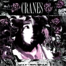 CRANES  - VINYL SELF-NON-SELF [VINYL]