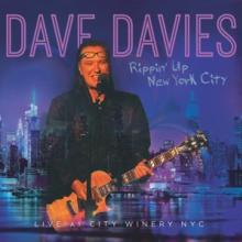 DAVIES DAVE  - VINYL RIPPIN' UP NEW..