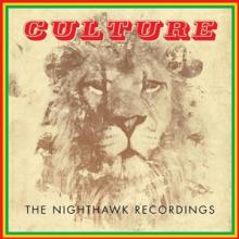  RSD - THE NIGHTHAWK RECORDINGS [VINYL] - suprshop.cz