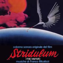  STRIDULUM (THE VISITOR) [VINYL] - supershop.sk