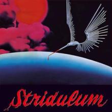  7-STRIDULUM [VINYL] - supershop.sk