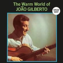  WARM WORLD OF JOAO GILBERTO(CLEA VINYL) [VINYL] - supershop.sk