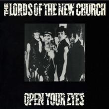 LORDS OF THE NEW CHURCH  - 2xVINYL OPEN YOUR EYES [VINYL]