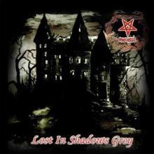 MORGUL  - VINYL LOST IN SHADOWS GREY [VINYL]