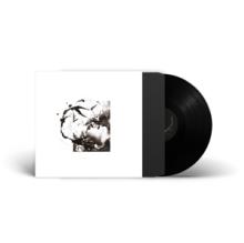  AIRUT: AAMUJEN [VINYL] - supershop.sk