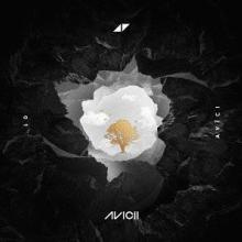 AVICII  - CM WITHOUT YOU