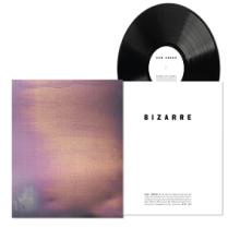  BIZARRE LOVE TRIANGLE [VINYL] - supershop.sk