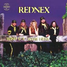 REDNEX  - VINYL WISH YOU WERE HERE [VINYL]