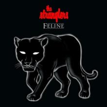  FELINE - supershop.sk