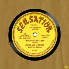 JOHN LEE HOOKER  - VINYL SENSATION [VINYL]