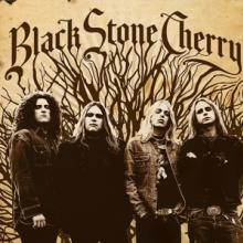  BLACK STONE CHERRY (1LP RED COLOURED) [VINYL] - suprshop.cz