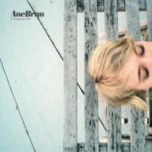  A TEMPORARY DIVE [VINYL] - suprshop.cz