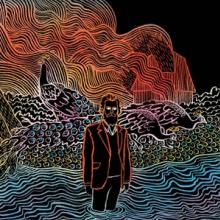 IRON & WINE  - VINYL KISS EACH OTHER CLEAN [VINYL]