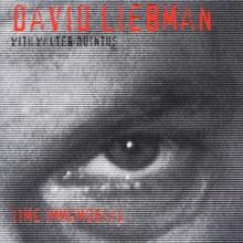 LIEBMAN DAVID  - CD TIME IMMEMORIAL