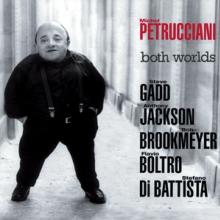 PETRUCCIANI MICHEL  - CD BOTH WORLDS