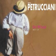 PETRUCCIANI MICHEL  - CD BEST OF