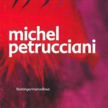 PETRUCCIANI MICHEL  - 2xCD MARVELLOUS/FLAMINGO