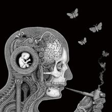 SOEN  - 2xVINYL COGNITIVE [VINYL]