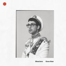 BLEACHERS  - CD GONE NOW