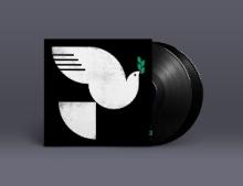  SPIRIT FALL [VINYL] - suprshop.cz