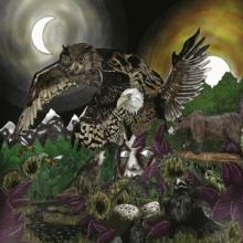  FEATHERS & FLESH 2LP (PURPLE+BLACK MARBL [VINYL] - supershop.sk