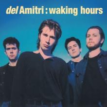  WAKING HOURS / BLUE [VINYL] - supershop.sk