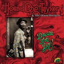 TAYLOR HOUND DOG  - VINYL BEWARE OF THE DOG [VINYL]