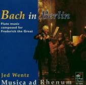  BACH IN BERLIN / W/JED WENTZ /WORKS BY JS BACH/CPE BACH/GRAUN - supershop.sk