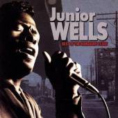 WELLS JUNIOR  - CD BEST OF VANGUARD YEARS