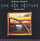 SHRIEVE MICHAEL & BEAL D  - CD BIG PICTURE