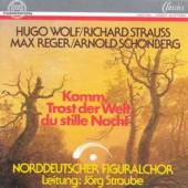 WOLF/STRAUSS/REGER/SCHOEN  - CD KOMM, TROST DER WELT