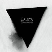 CALEYA  - VINYL TRUEMMERMENSCH [VINYL]