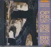 FOREVER EINSTEIN  - CD OPPORTUNITY CROSSES BRIDG