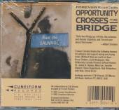  OPPORTUNITY CROSSES BRIDG - suprshop.cz