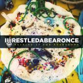 IWRESTLEDABEARONCE  - CD RUINING IT FOR EVERYBODY