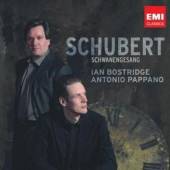 BOSTRIDGE IAN  - CD SCHWANENGESANG