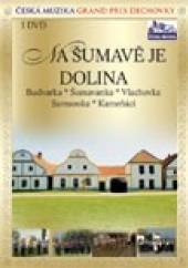 VARIOUS  - DVD NA SUMAVE JE DOLINA